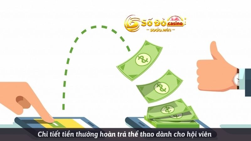 Chi tiết tiền thưởng hoàn trả thể thao dành cho hội viên